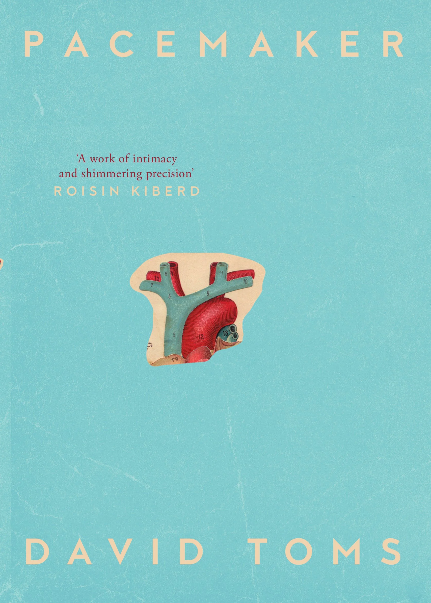 Pacemaker by David Toms — Banshee Press